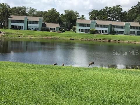 519 Midway Dr #a Property Photo 32
