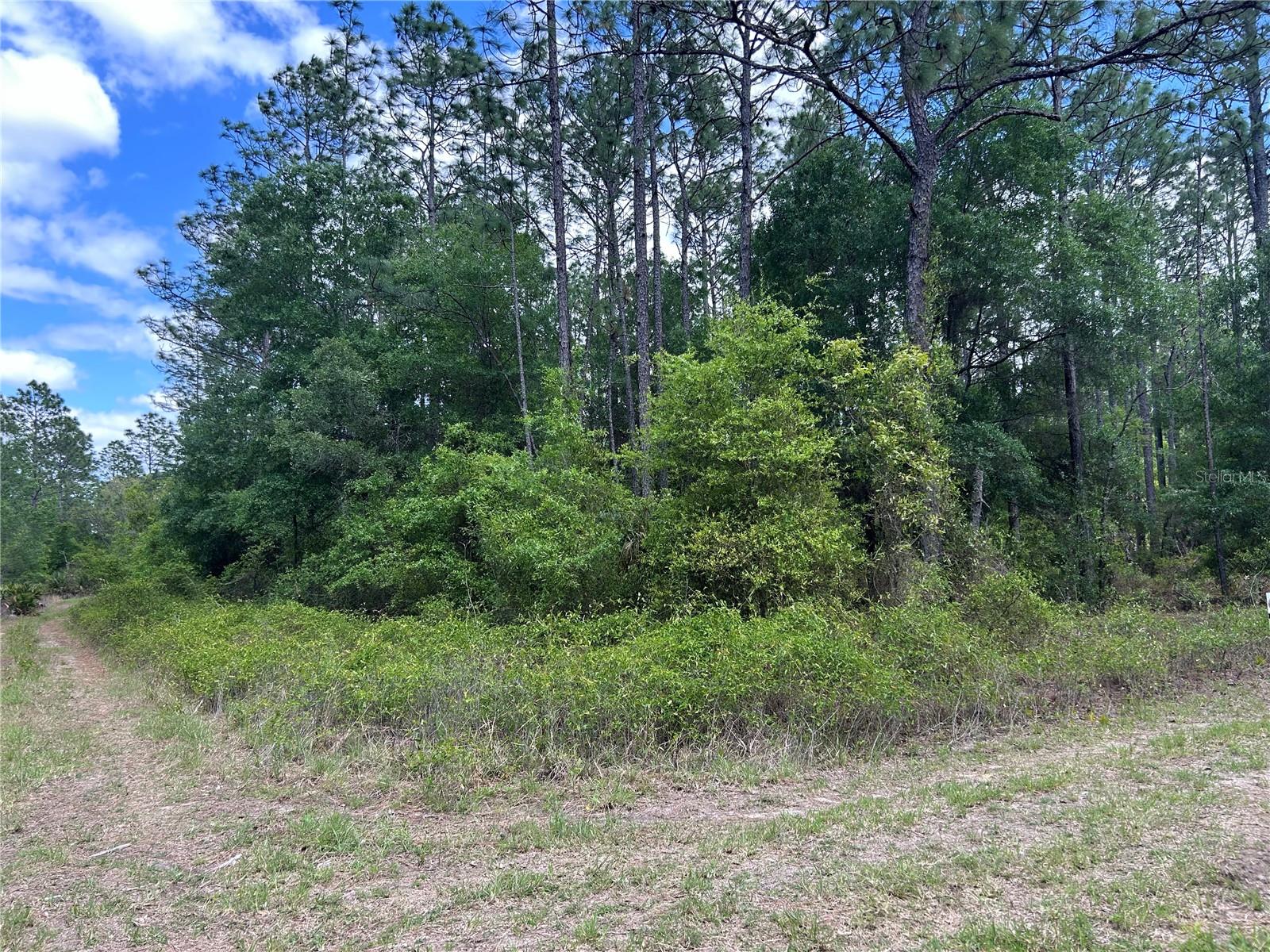 TBD SW 159TH AVE Property Photo 1