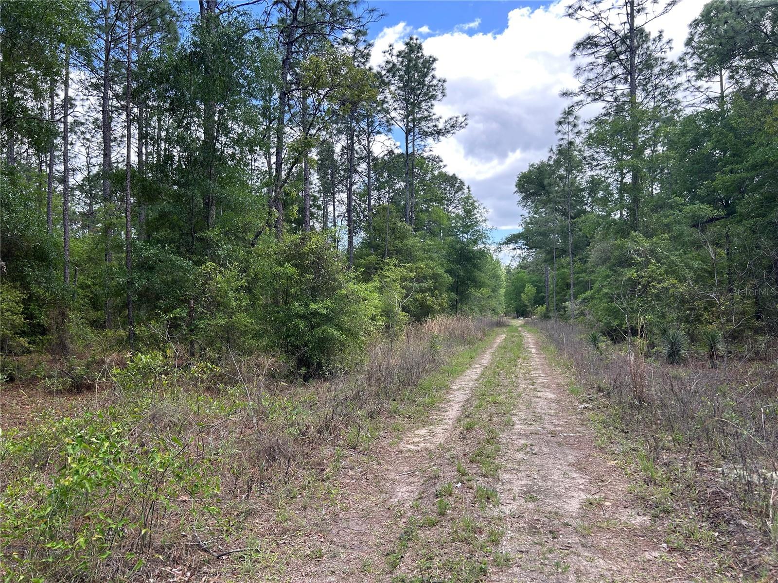 Tbd Sw 159th Ave Property Photo 2