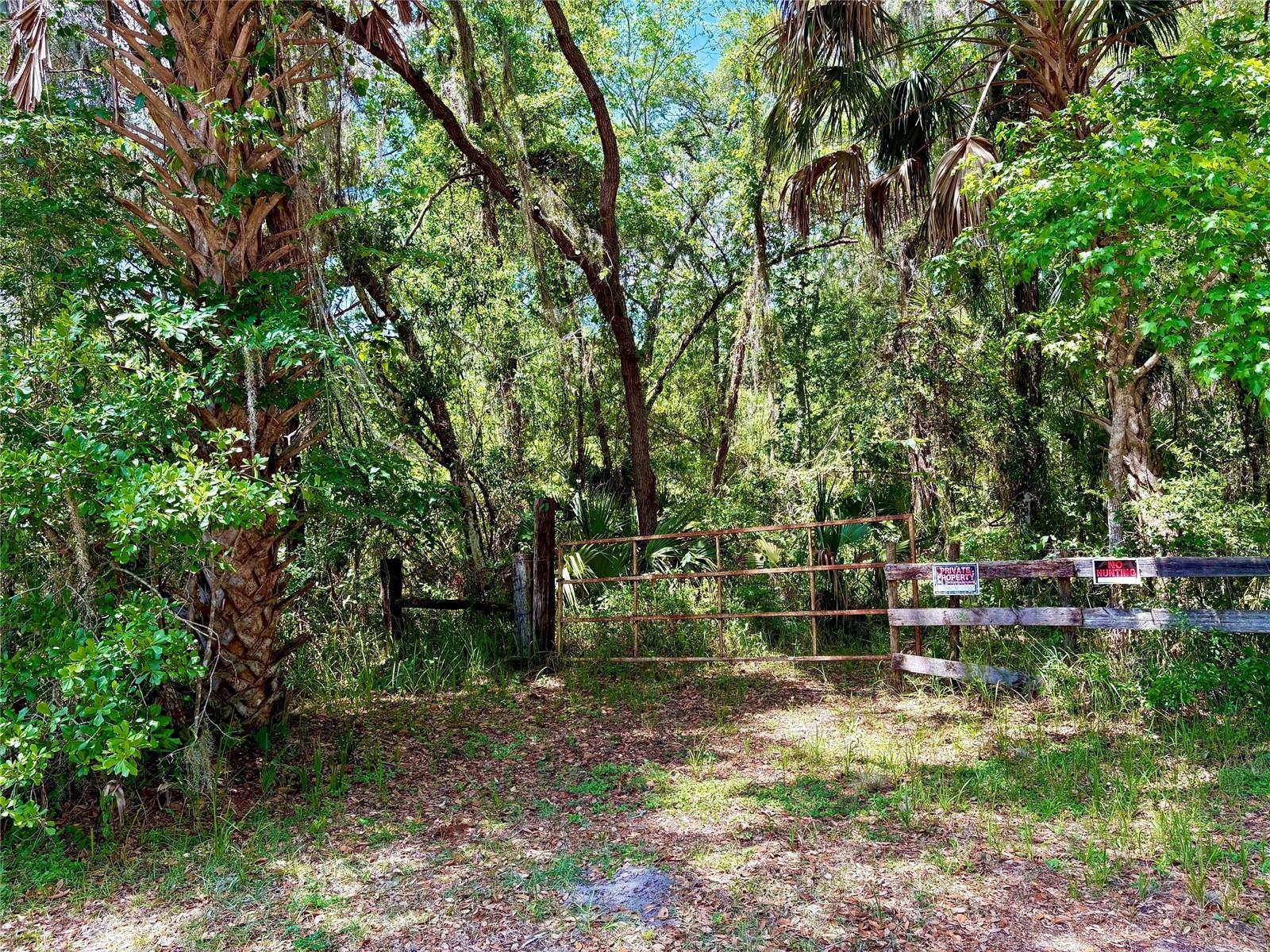 Old Crystal River Rd Property Photo 1