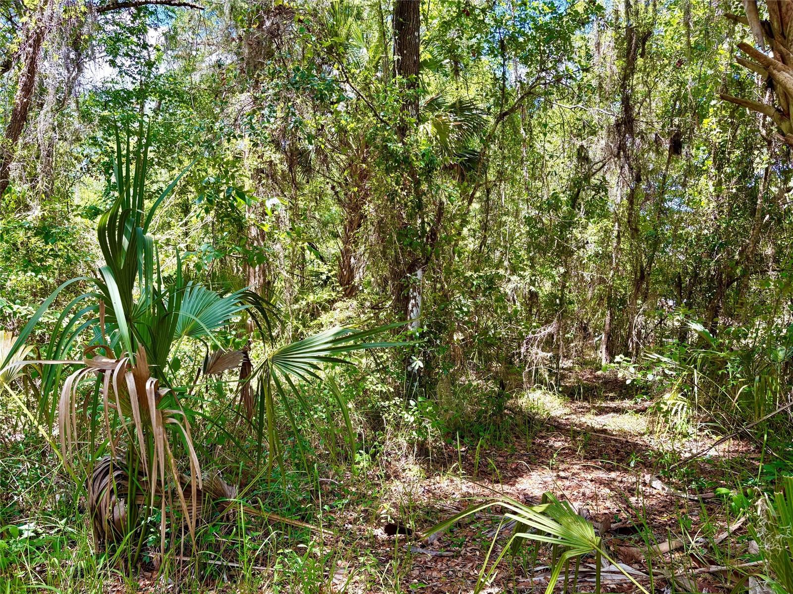 Old Crystal River Rd Property Photo 2