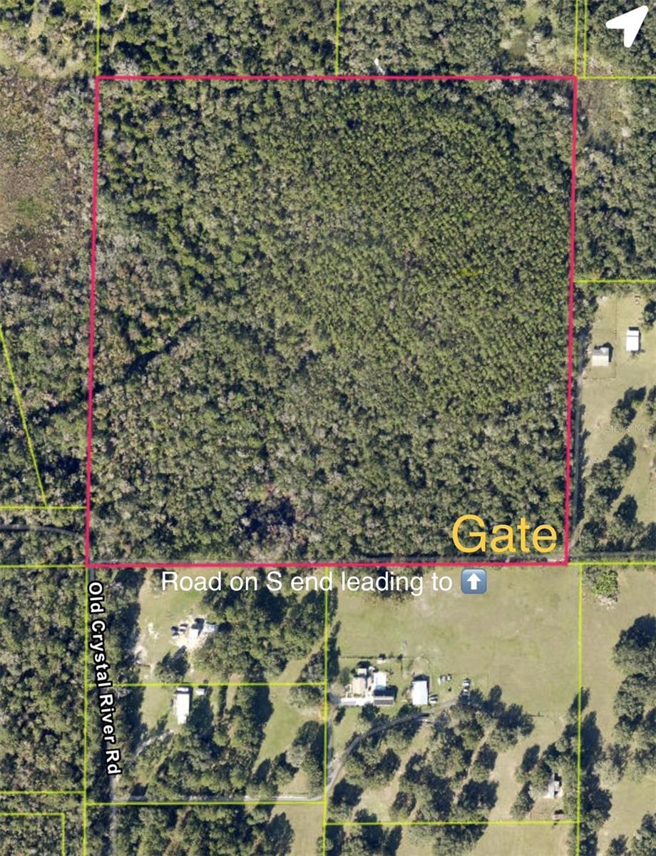 Old Crystal River Rd Property Photo 3