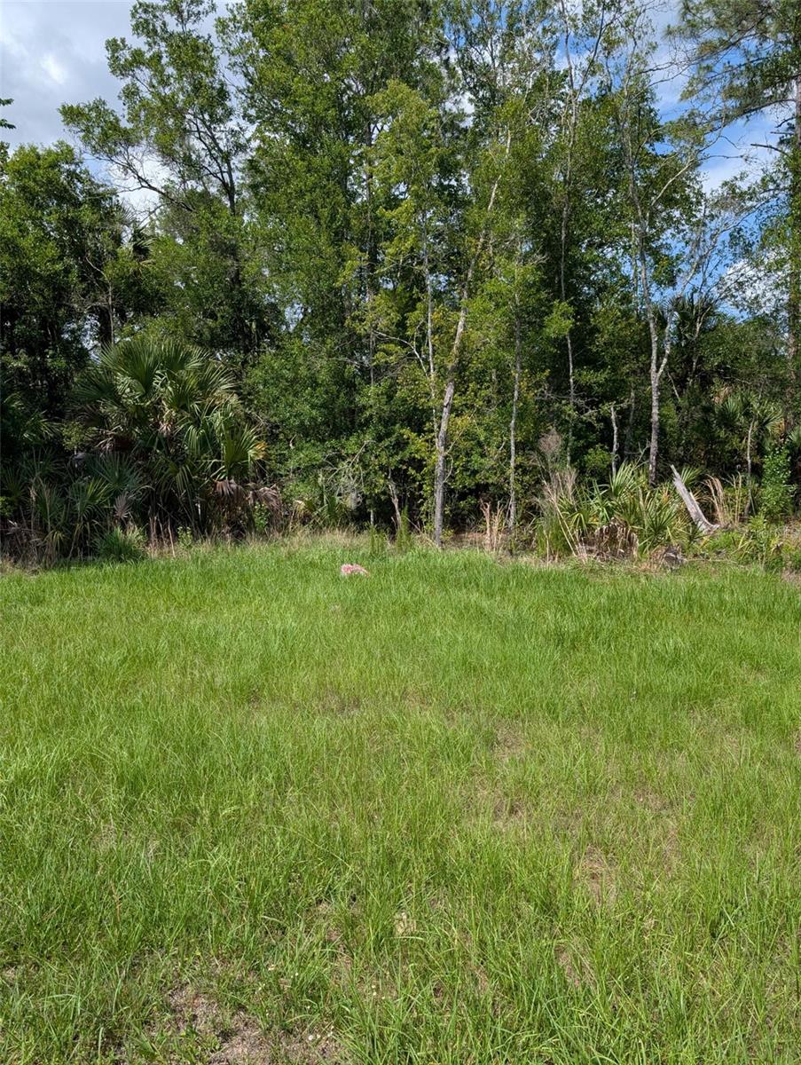 5251 N Us 19 Hwy Property Photo 4