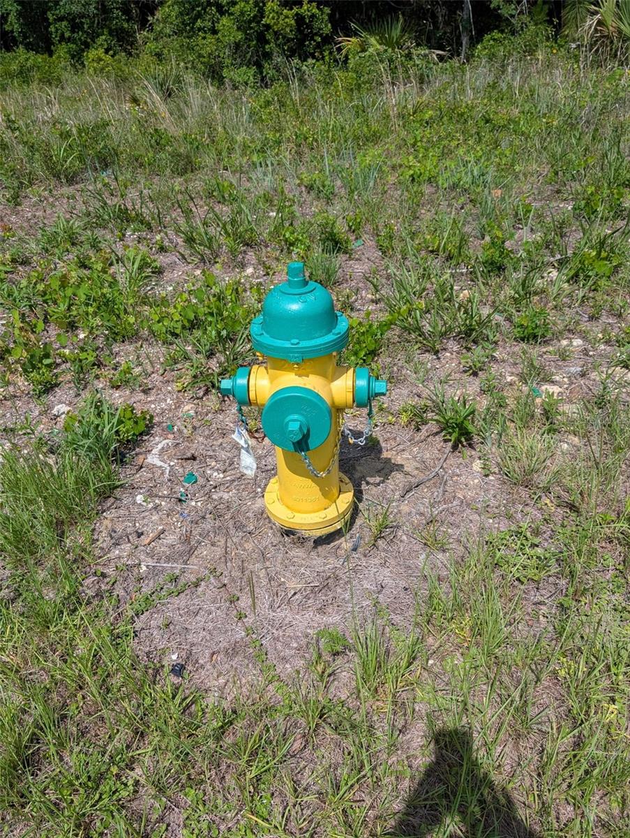 5251 N Us 19 Hwy Property Photo 7