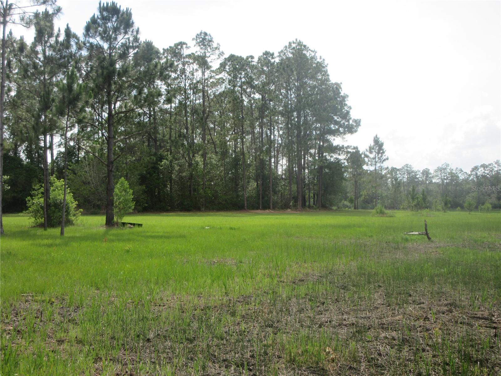 0 Se 10th St Property Photo 7