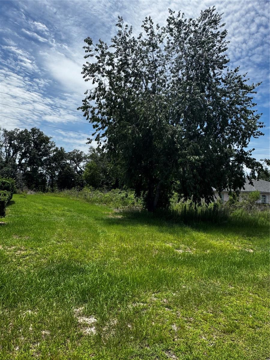 Tbd SW 46TH CT Property Photo 1