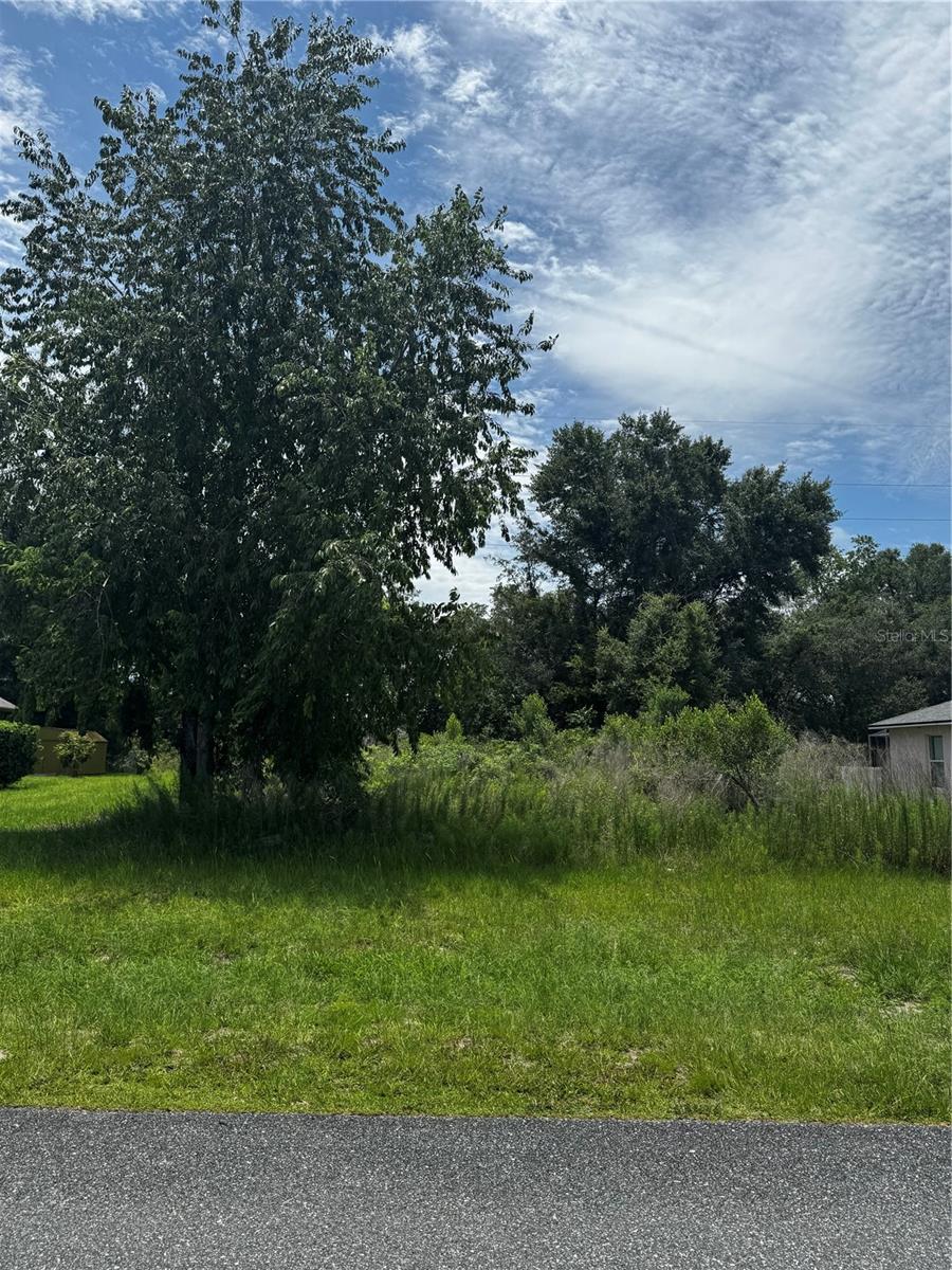 Tbd Sw 46th Ct Property Photo 2