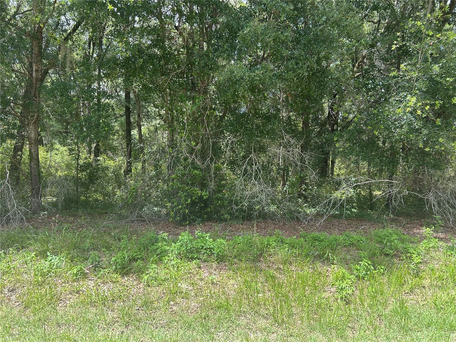 SW 111 LN Property Photo 1