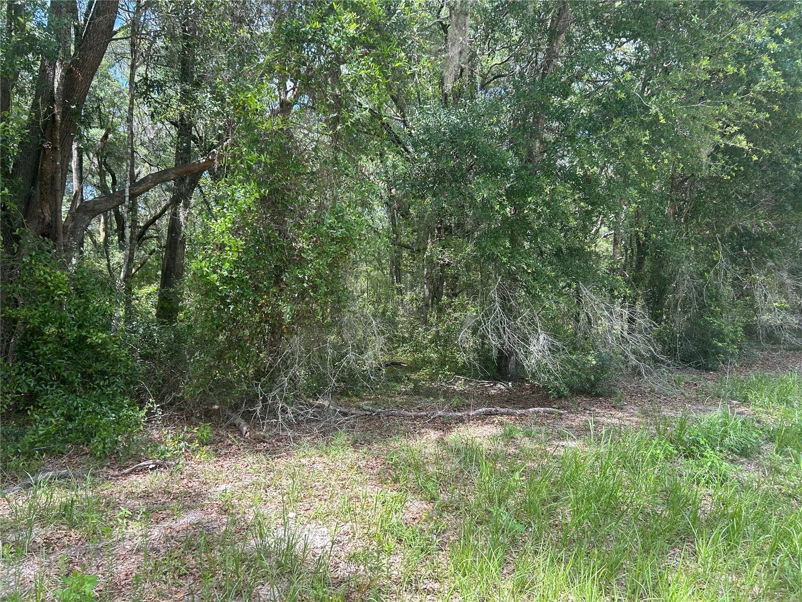 Sw 111 Ln Property Photo 2