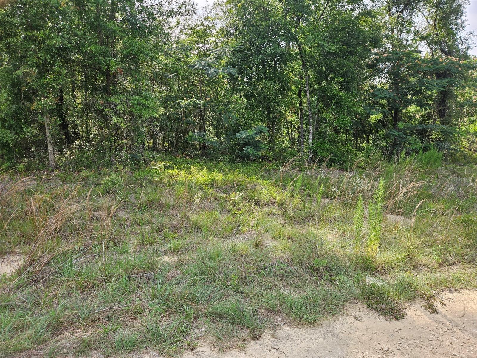 Tbd Ne 153rd Ave Property Photo 2