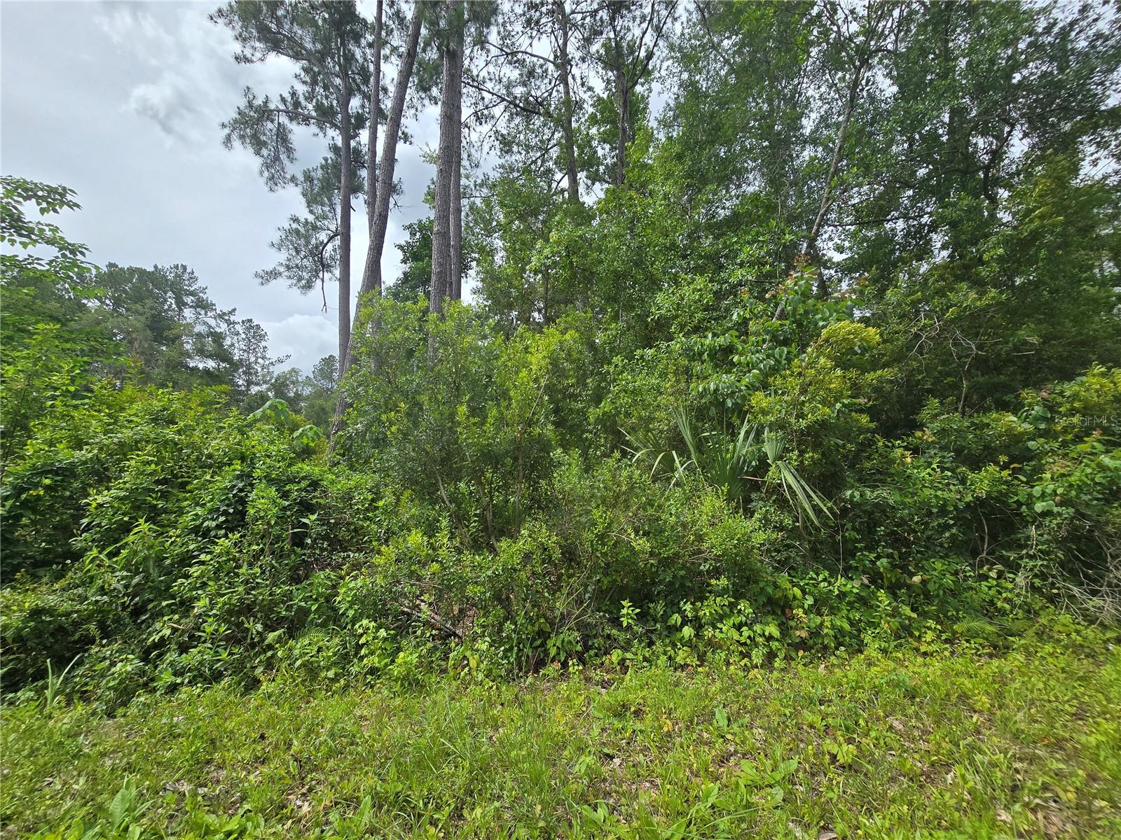 320 SEQUOIA DR Property Photo 1