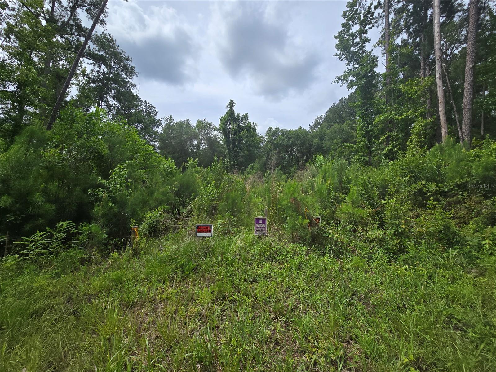 316 SEQUOIA DR Property Photo 1