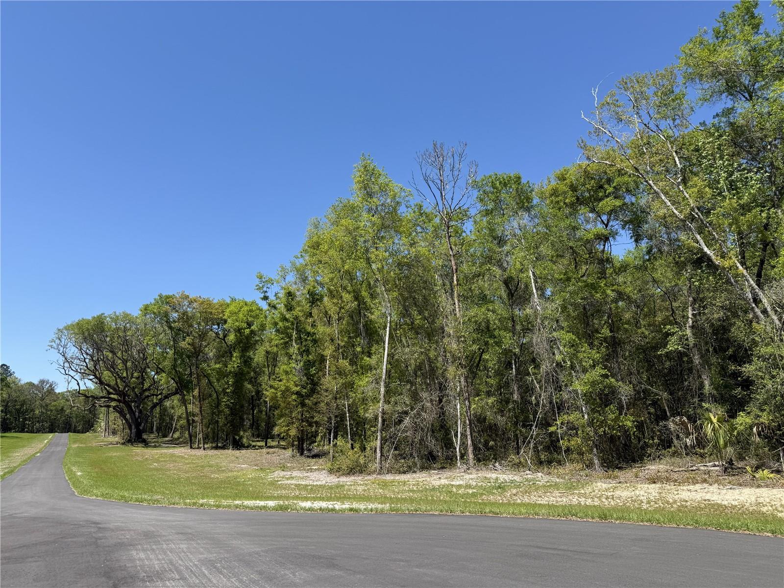 Irvine Acres #5 (13ac) W Hwy 318 Property Photo 2