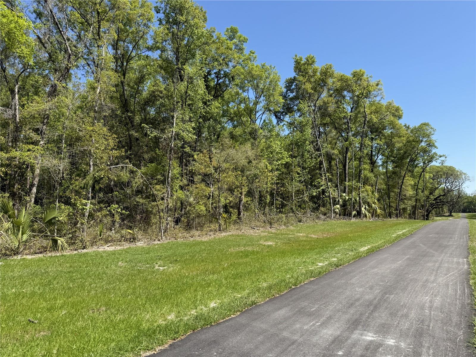 Irvine Acres #5 (13ac) W Hwy 318 Property Photo 3