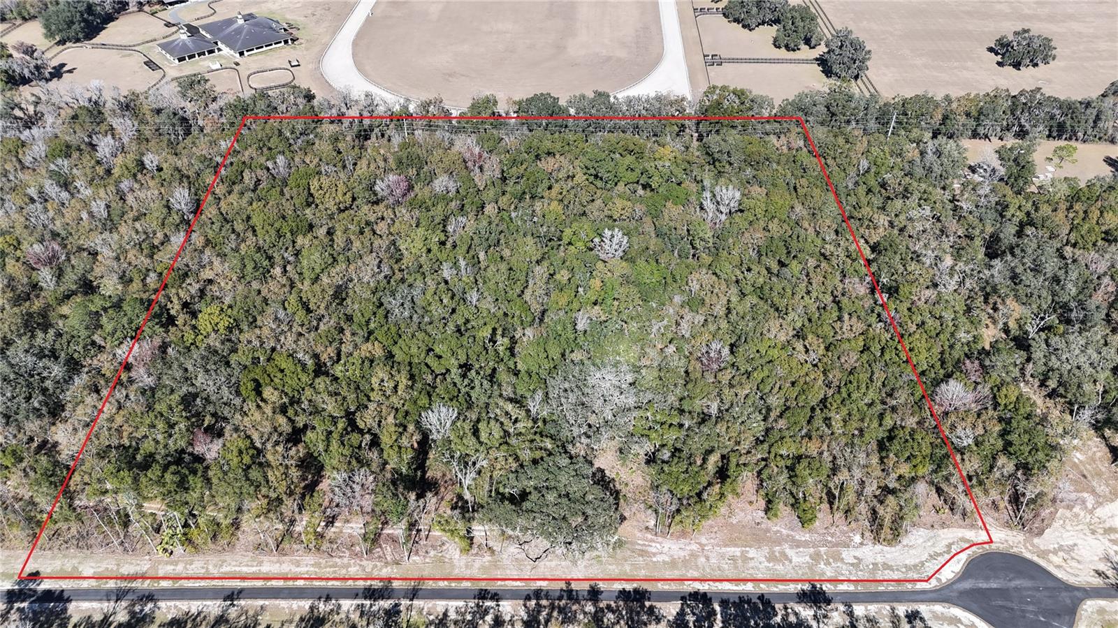 Irvine Acres #5 (13ac) W Hwy 318 Property Photo 8