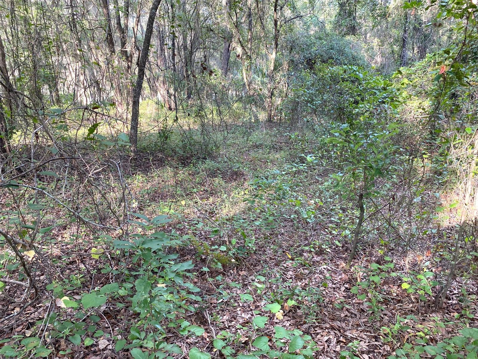 Lots 11.12 Sw Shorewood Dr Property Photo 12