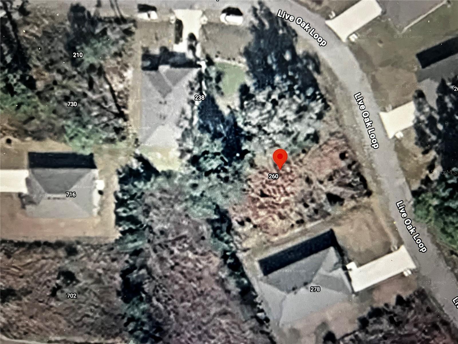 260 Live Oak Loop Property Photo 3