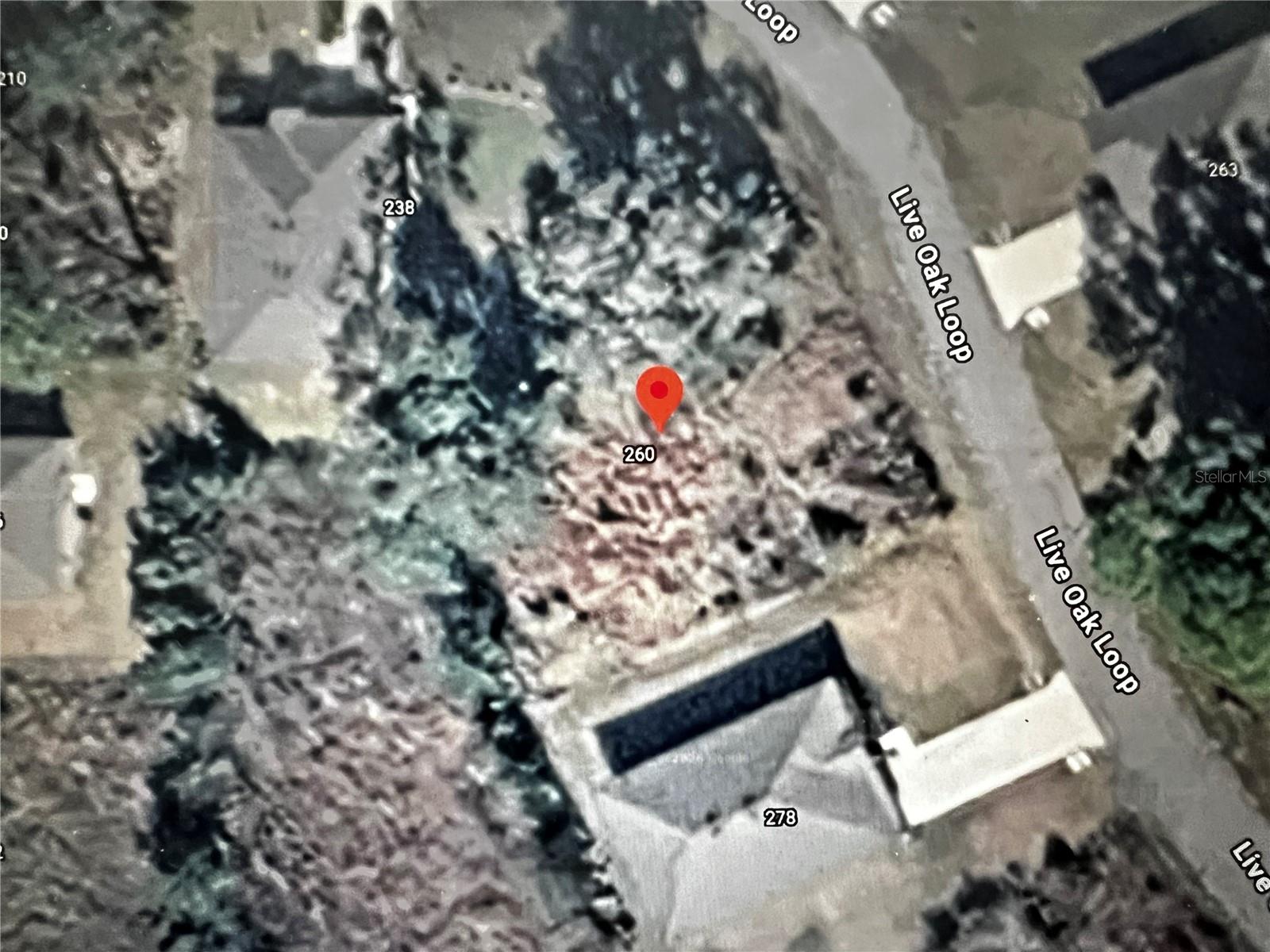 260 Live Oak Loop Property Photo 4
