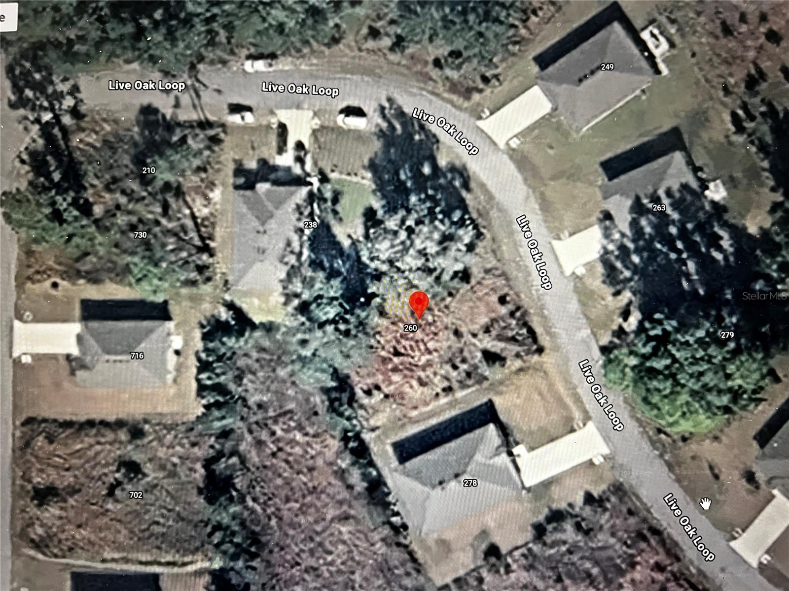 260 Live Oak Loop Property Photo 5