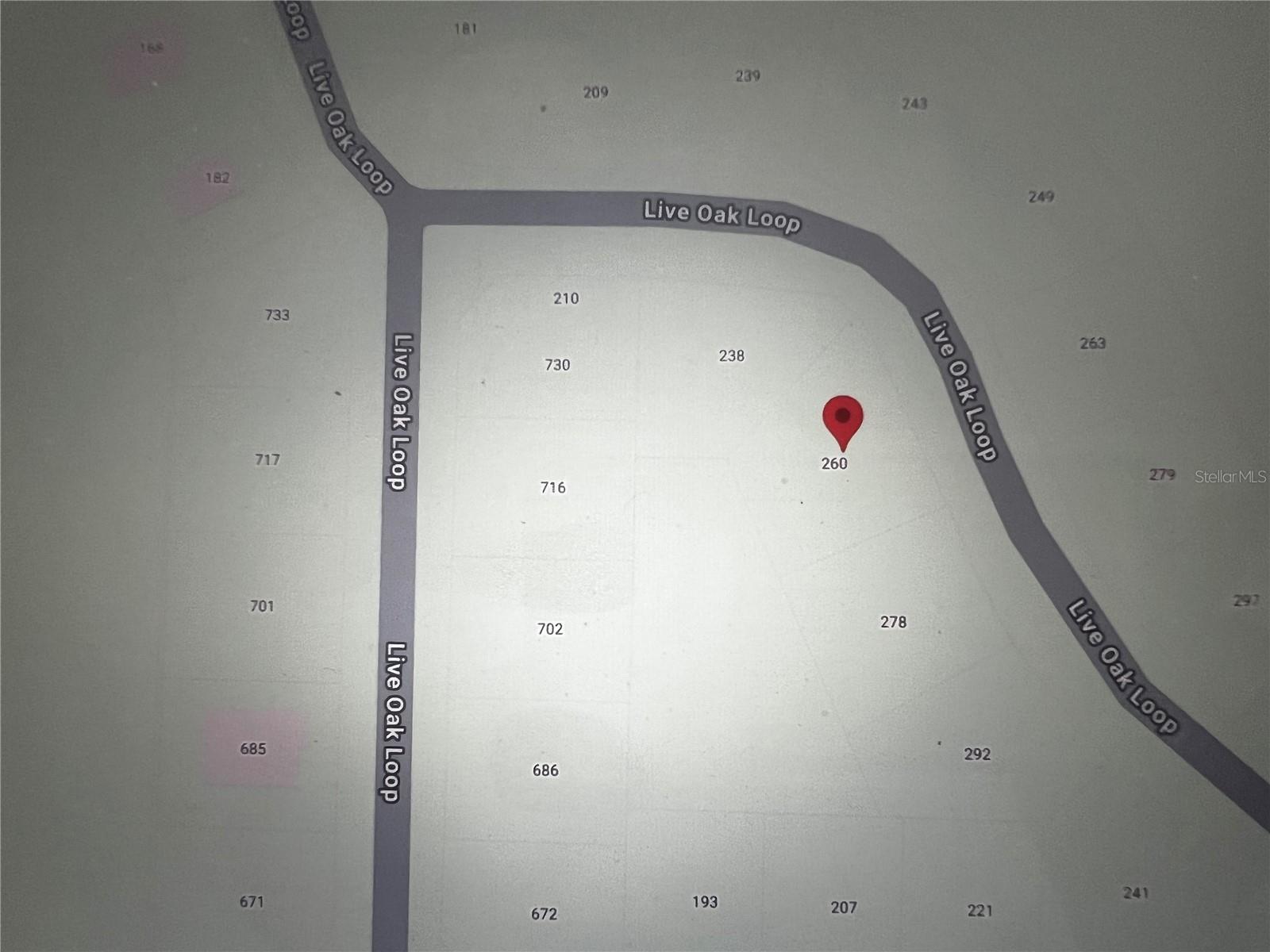 260 Live Oak Loop Property Photo 11