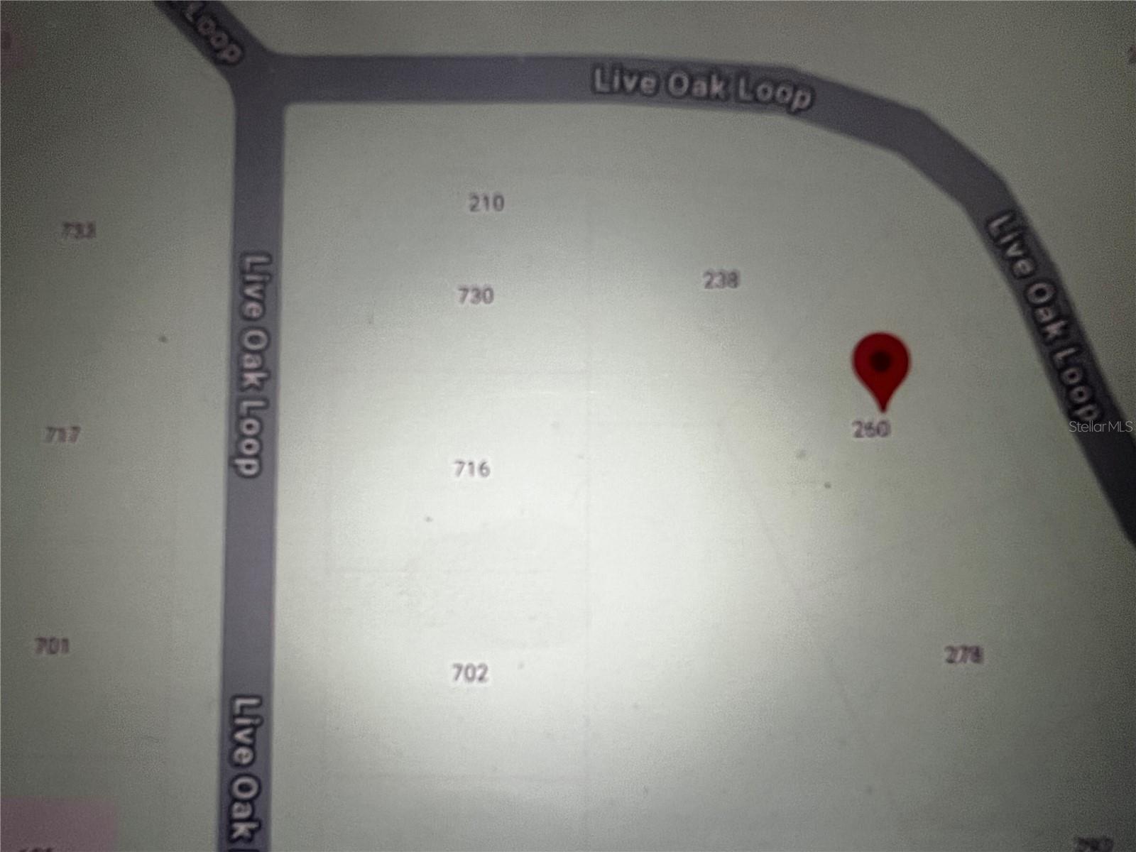260 Live Oak Loop Property Photo 12