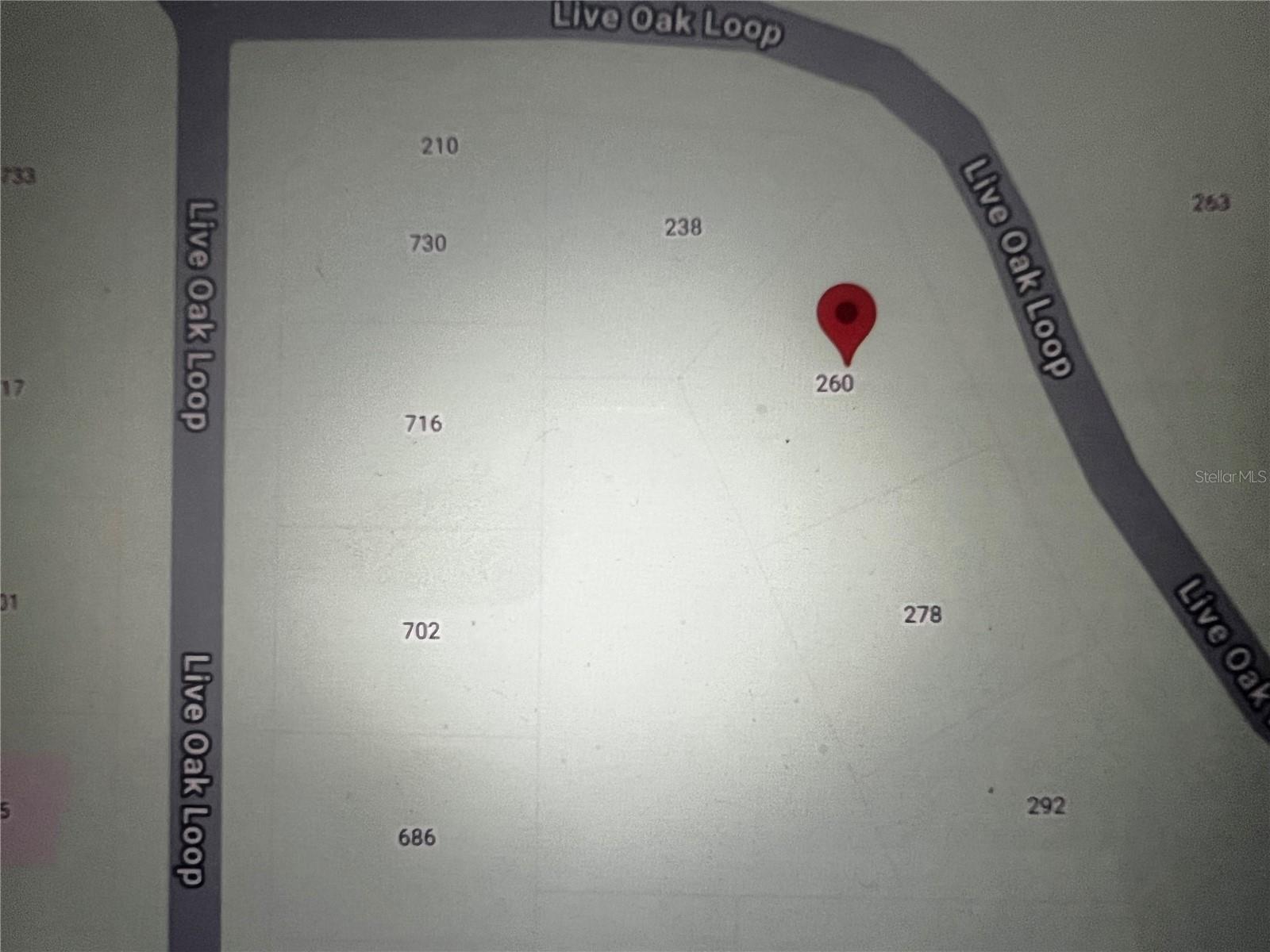 260 Live Oak Loop Property Photo 13