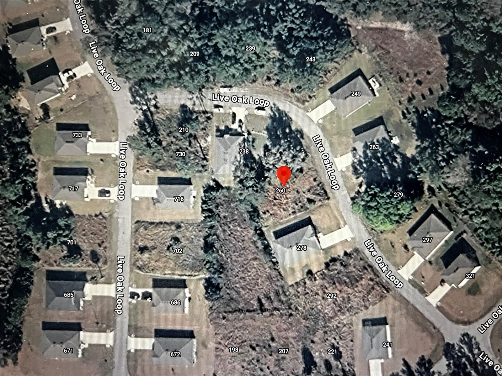 260 Live Oak Loop Property Photo 15