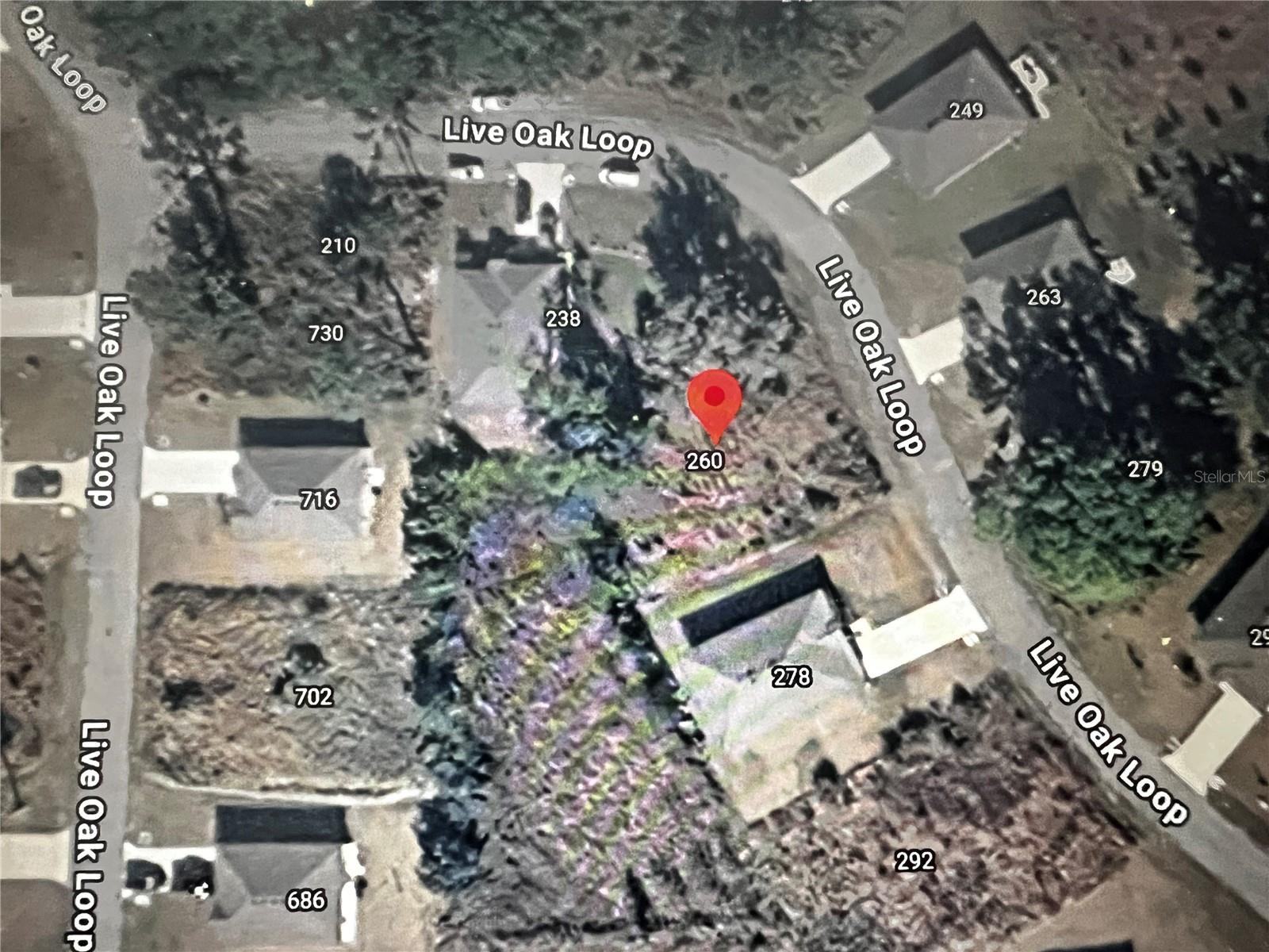 260 Live Oak Loop Property Photo 16