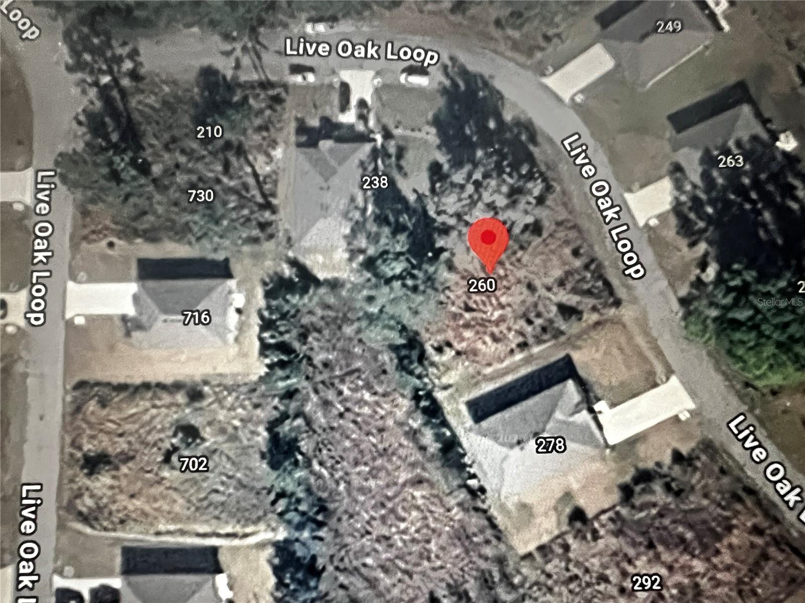 260 Live Oak Loop Property Photo 17