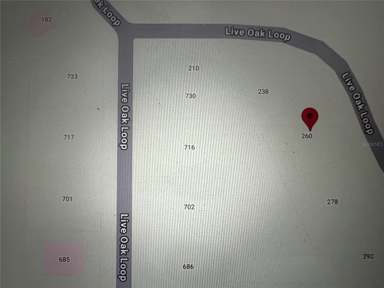 260 Live Oak Loop Property Photo 18