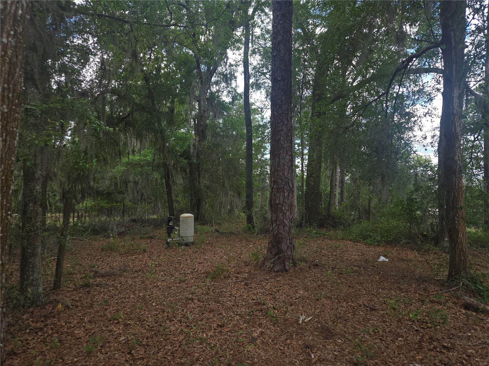 6090 Ne 87 Ter Property Photo 8