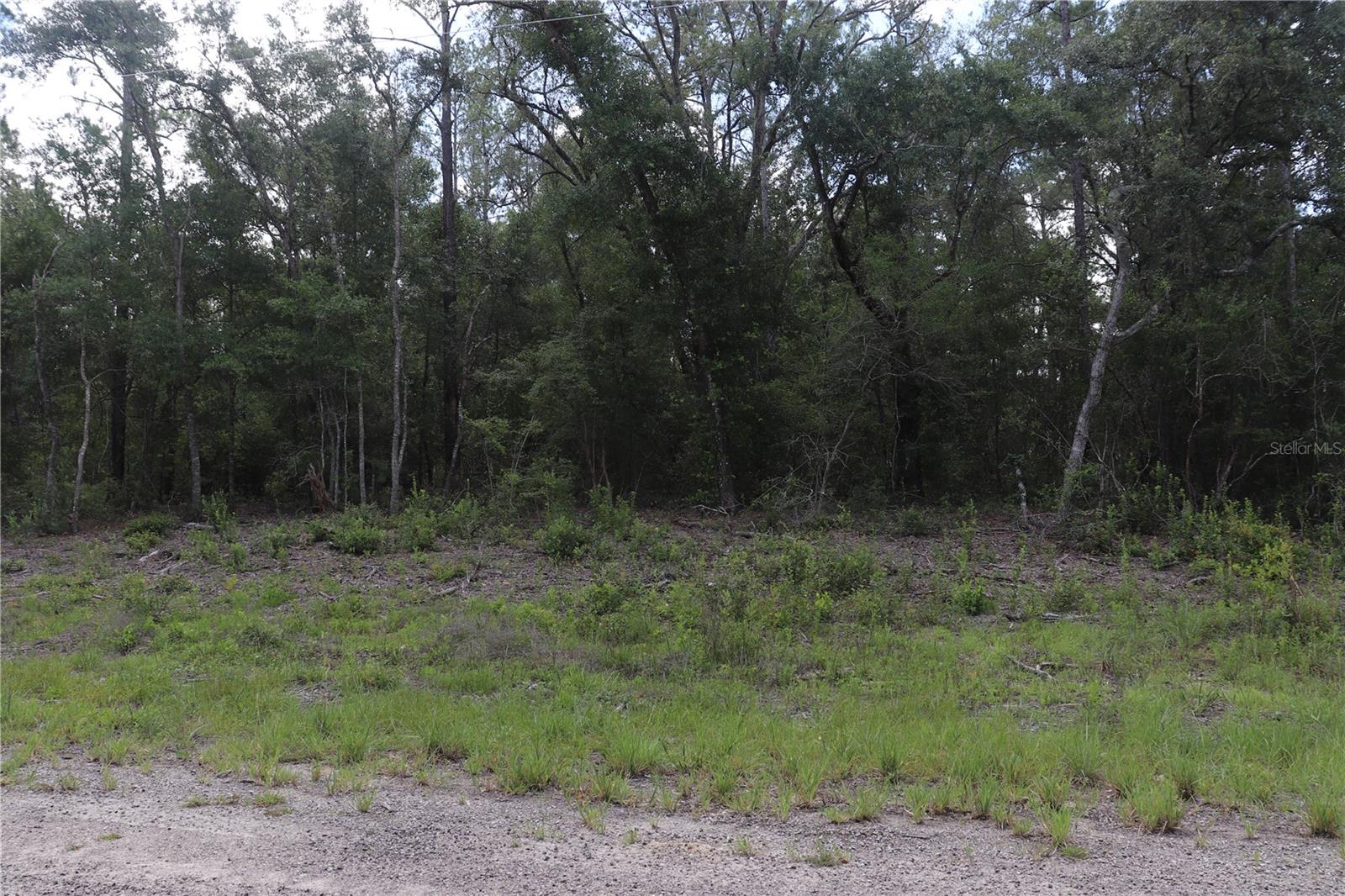 653 Vercelli Ln Property Photo