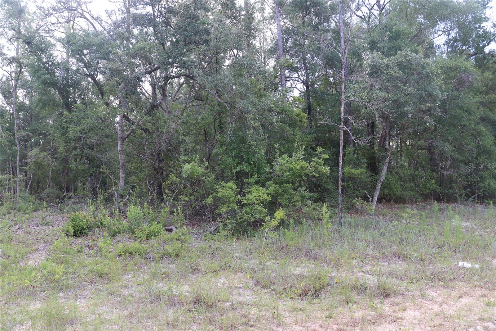653 Vercelli Ln Property Photo 2