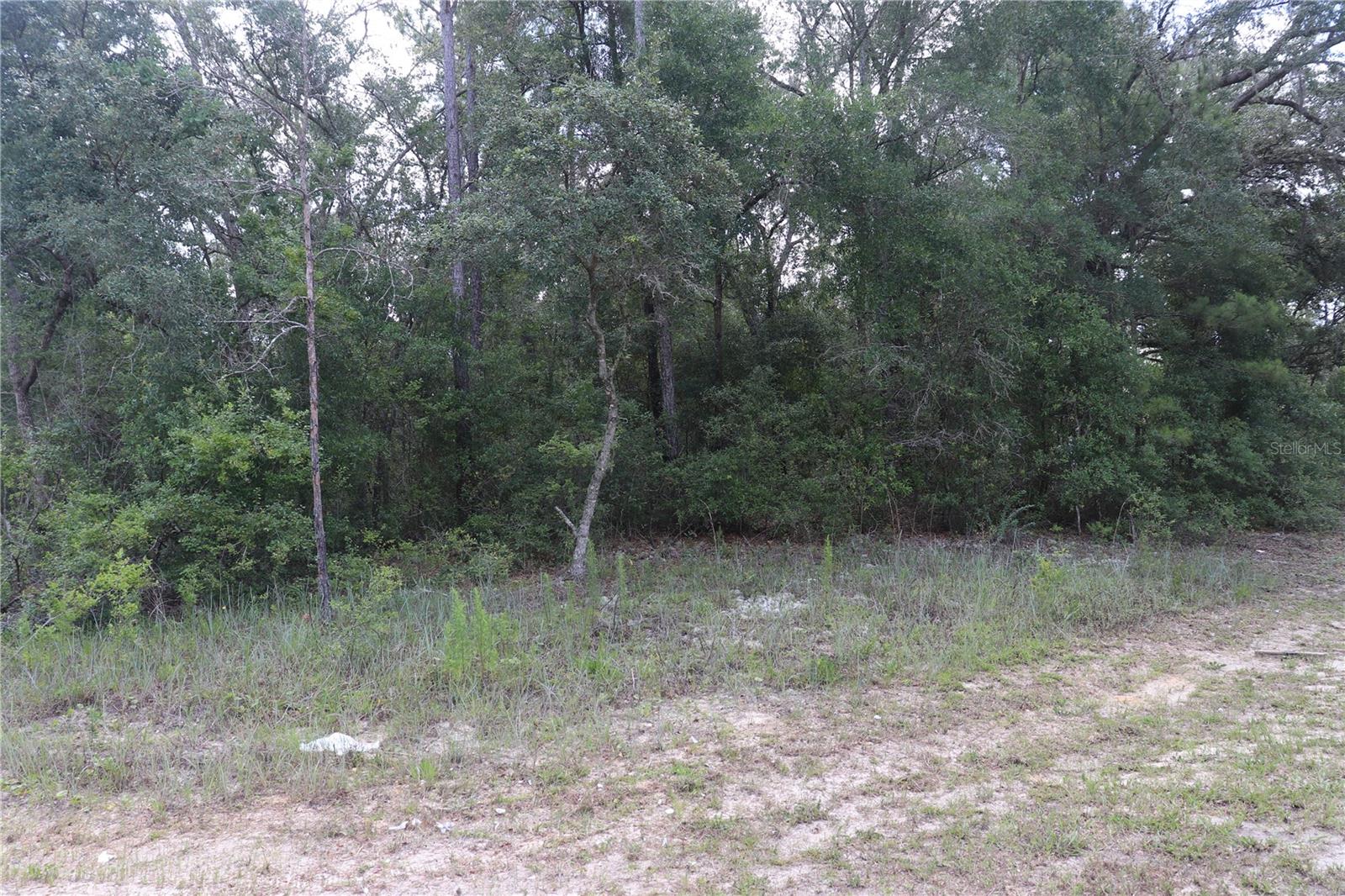 653 Vercelli Ln Property Photo 3