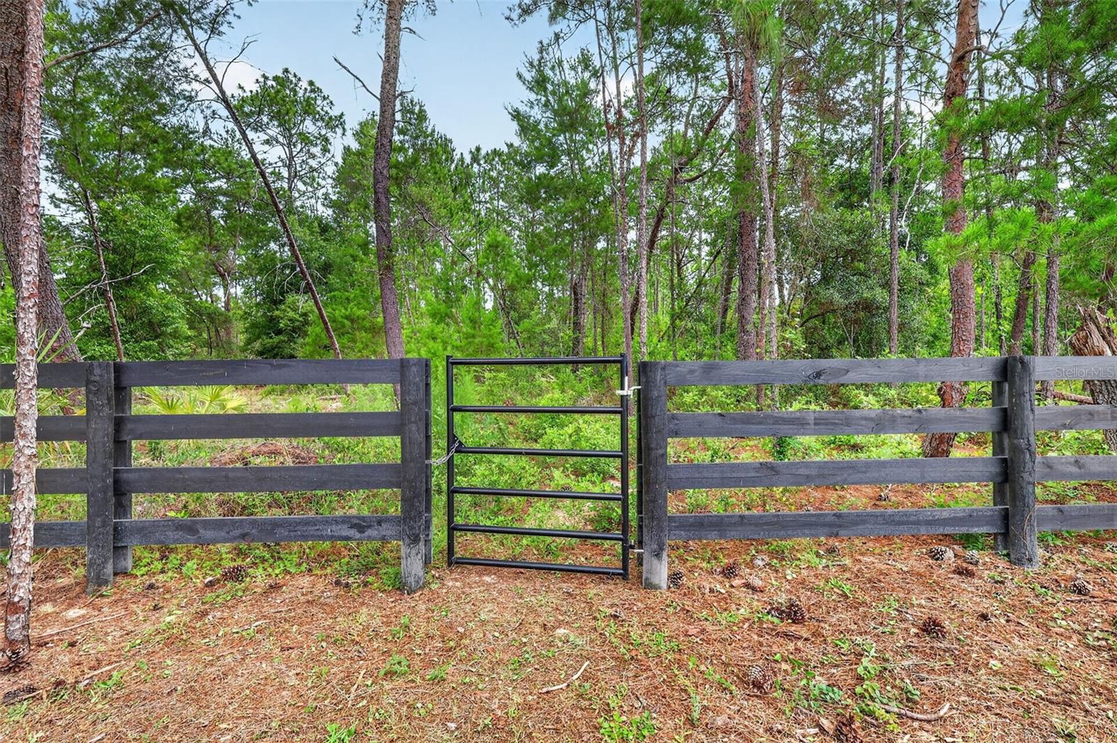 2058 County Road 243f Property Photo 50