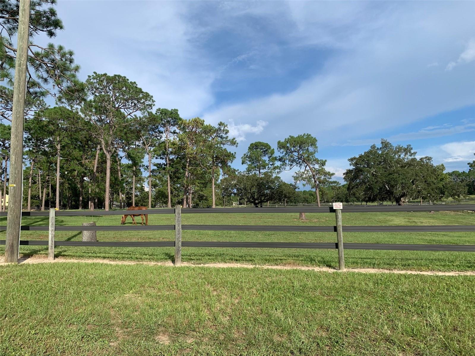 5202 N Allamandra Dr Property Photo 13