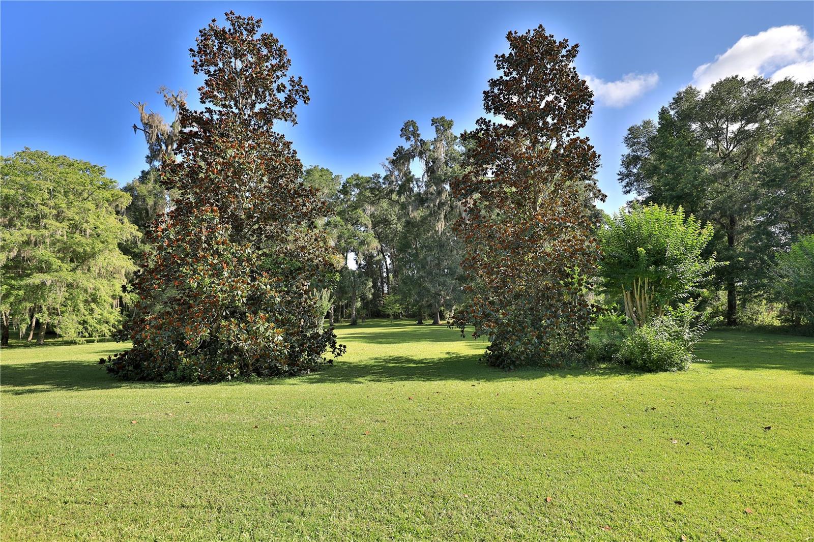 1351 Se 91st Pl Property Photo 43