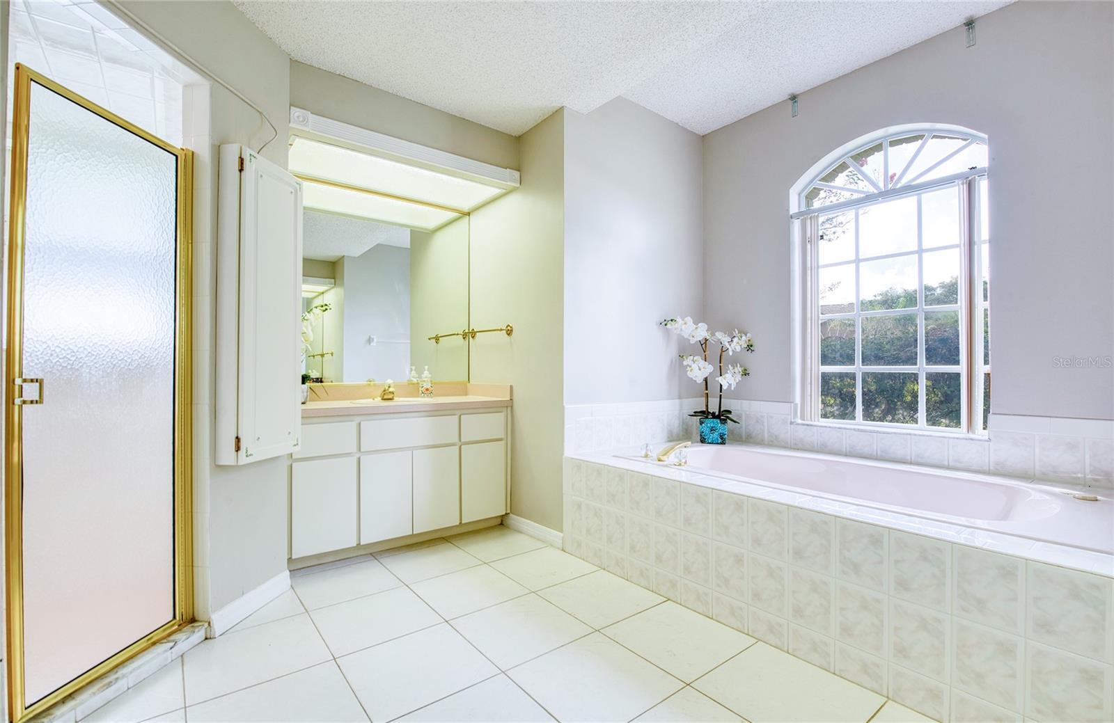 9685 Southern Belle Dr Property Photo 16