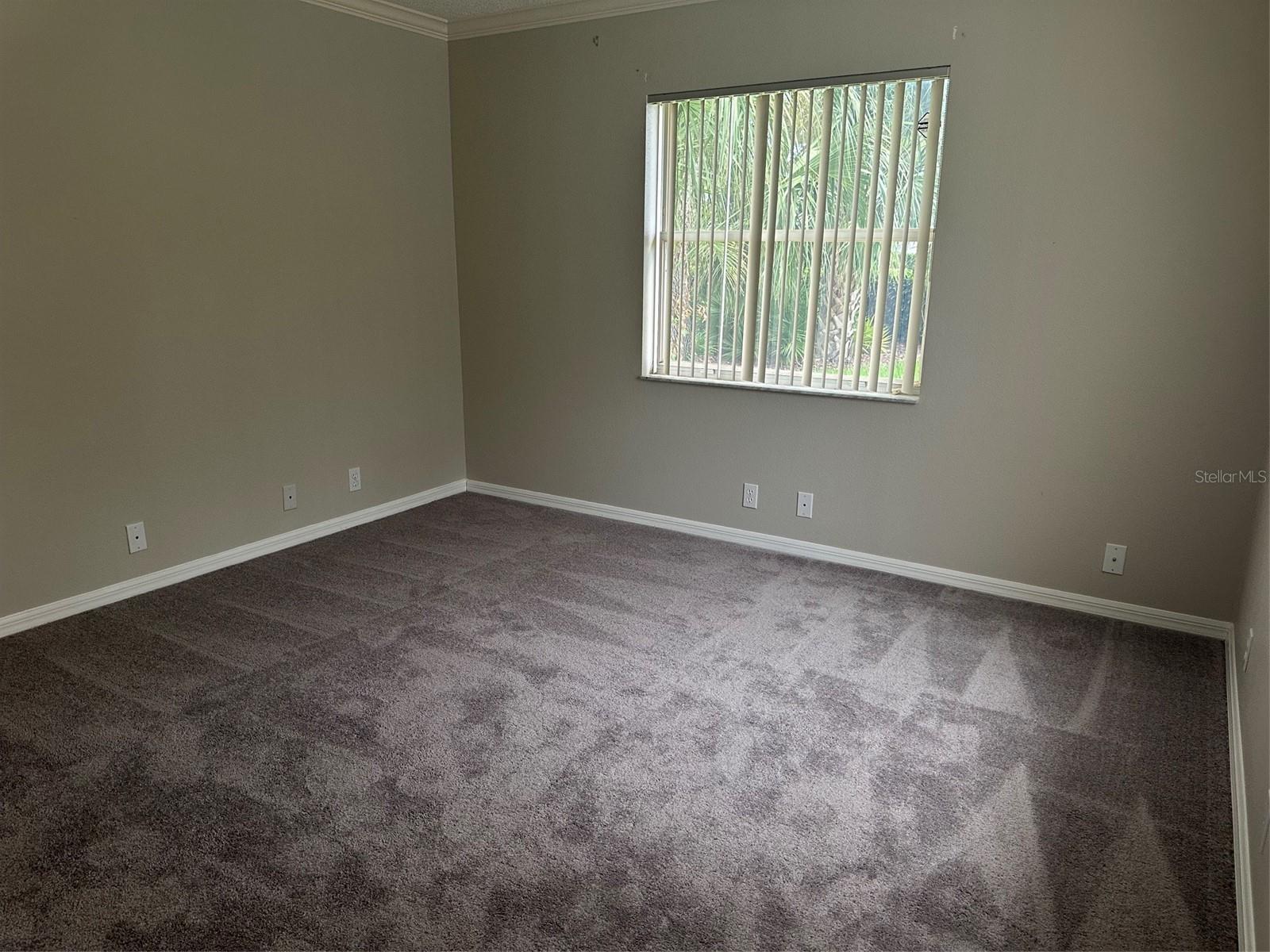 9685 Southern Belle Dr Property Photo 20