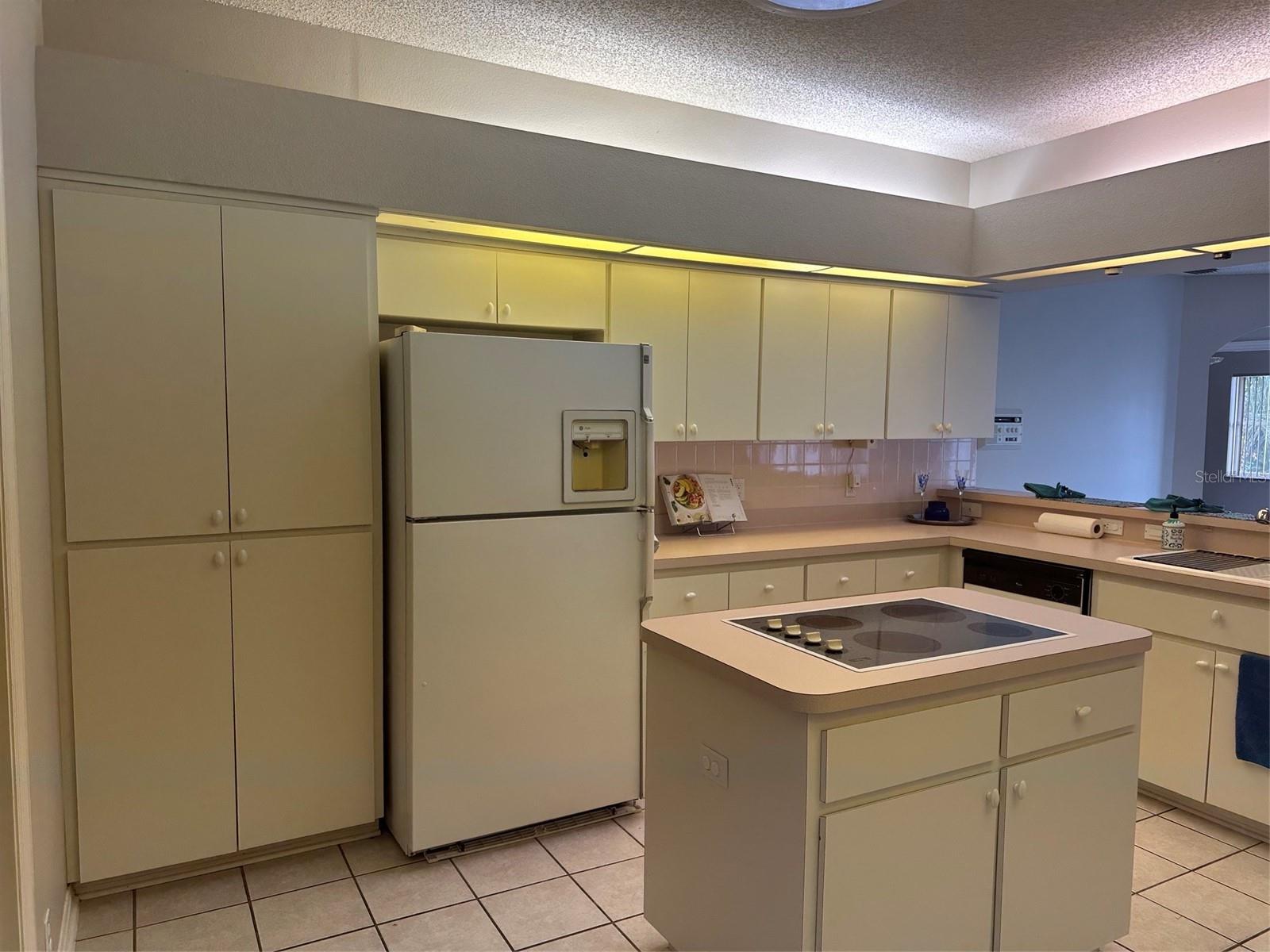 9685 Southern Belle Dr Property Photo 30