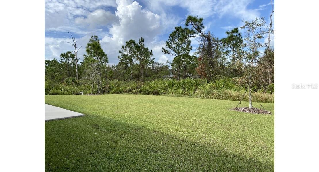 7050 Beckwith Ave Property Photo 14