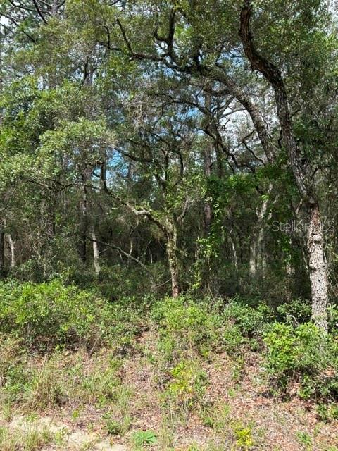 Tba Sw Winding Hills Rd Property Photo 1