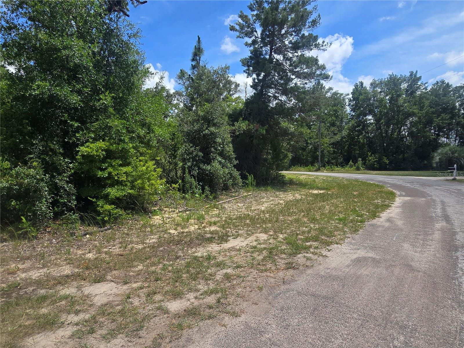 8365 N Ibsen Dr Property Photo 1