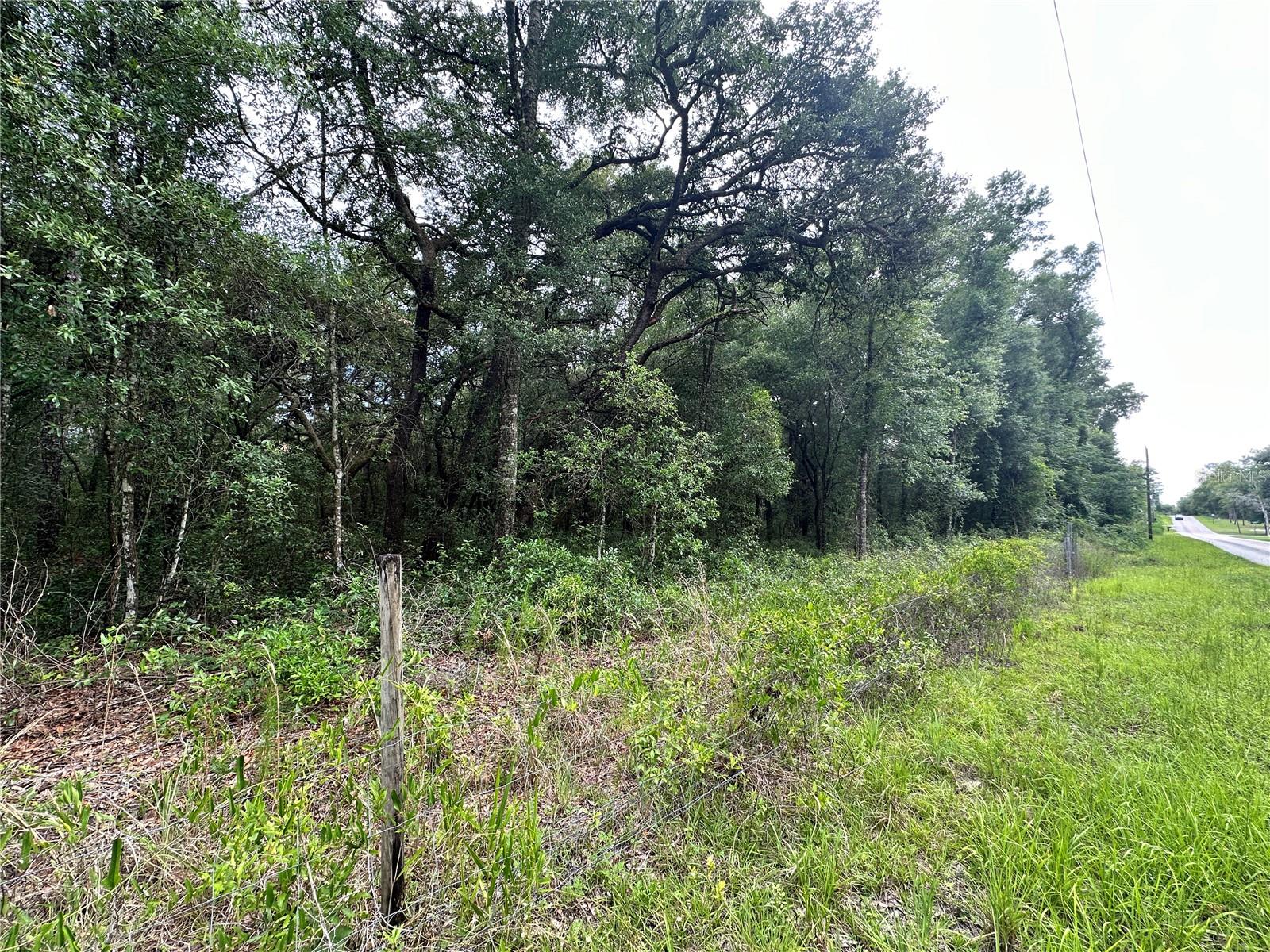 Tbd Ne 65th Ln Property Photo 4