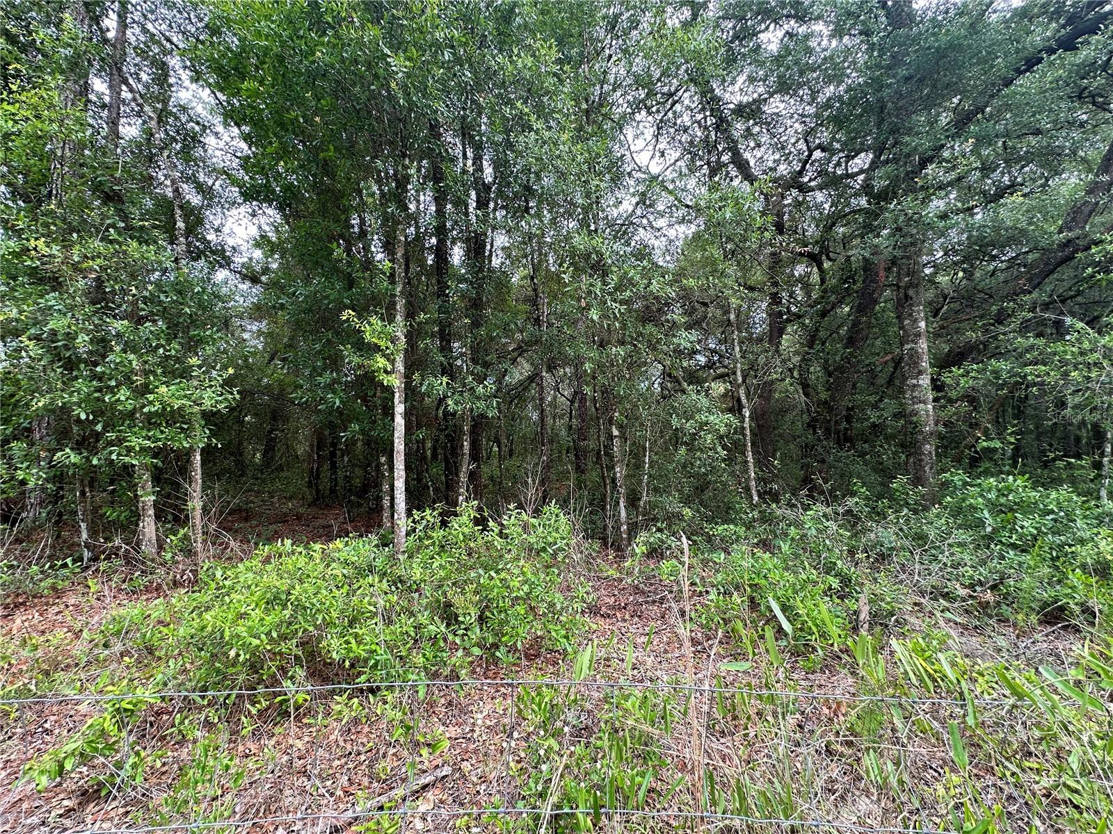 Tbd Ne 65th Ln Property Photo 10