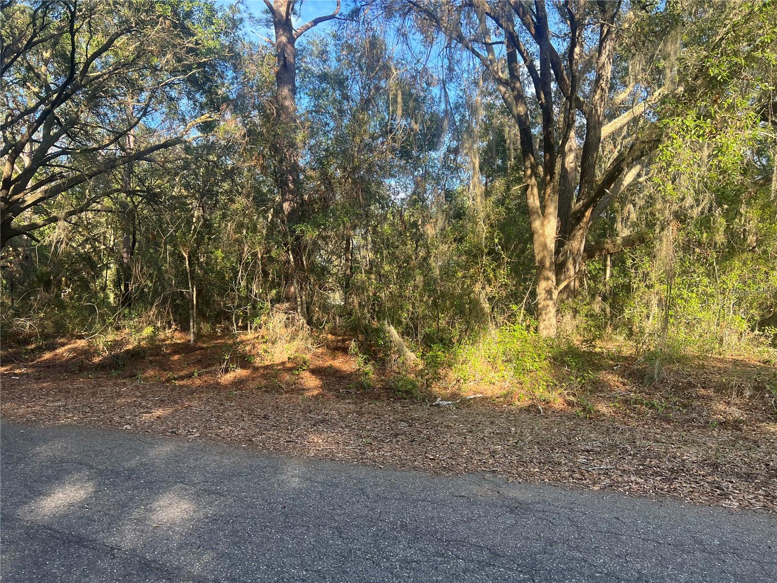GUAVA TERRACE Property Photo 1