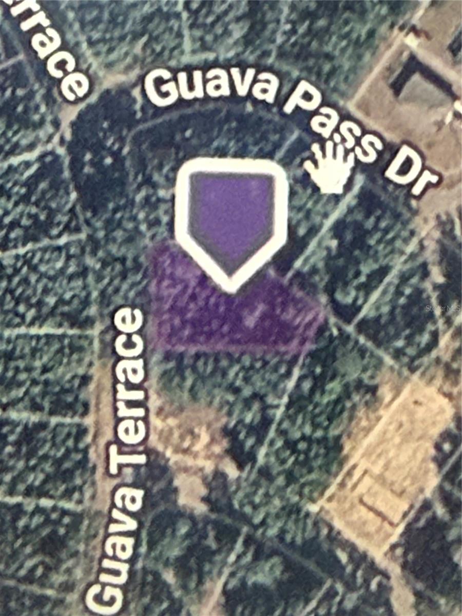 Guava Terrace Property Photo 3