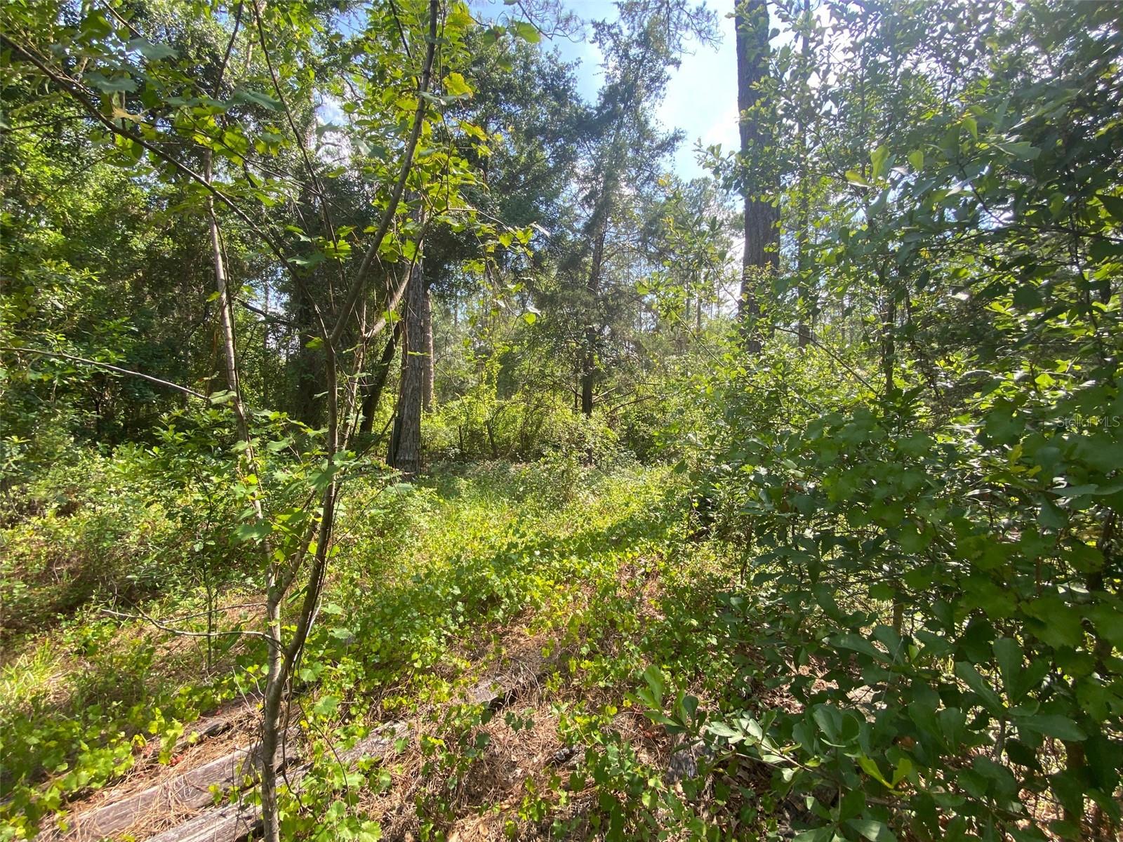 13701 Ne 66th Ave Property Photo 5