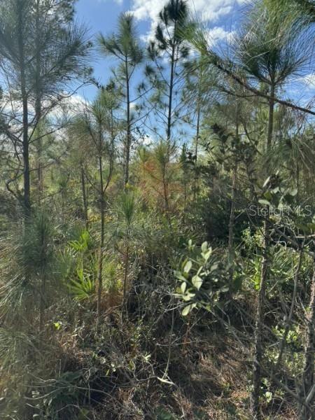 Tbd Property Photo 3