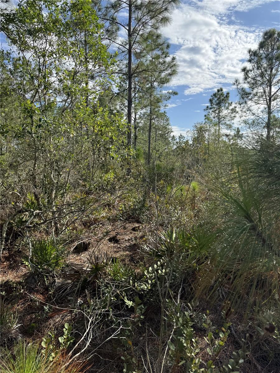 Tbd Property Photo 4